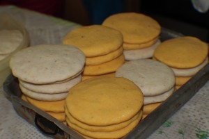 resized_IMG_6119