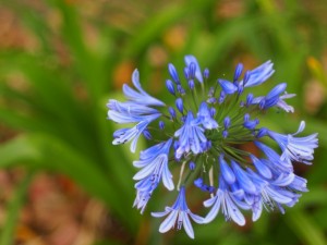 resized_P1010644