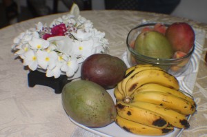 resized_IMG_8649