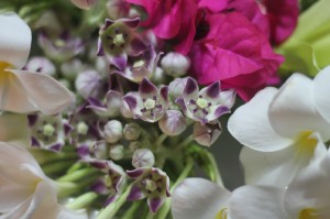 resized_IMG_8673