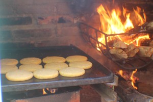 resized_IMG_8776