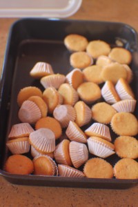 resized_IMG_8978