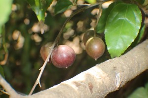 resized_IMG_9564