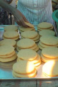 resized_IMG_0187
