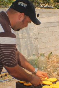 resized_IMG_0199