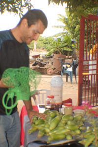 resized_IMG_4573