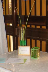 resized_IMG_5990