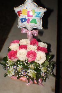 resized_IMG_6162