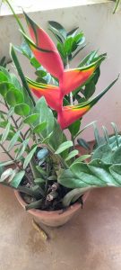 resized_IMG_20220723_123928