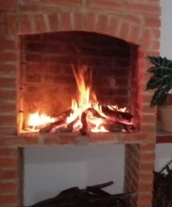 photo1671459194