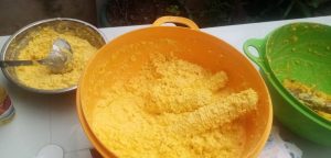 WhatsApp Image 2024-09-29 at 5.04.38 PM