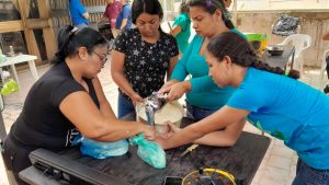 WhatsApp Image 2024-09-30 at 10.28.18 AM