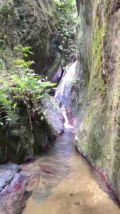 WhatsApp Image 2024-11-12 at 10.30.35 AM