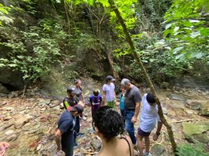 WhatsApp Image 2024-11-12 at 10.30.37 AM