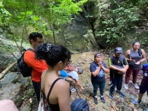 WhatsApp Image 2024-11-12 at 10.30.37 AM(2)